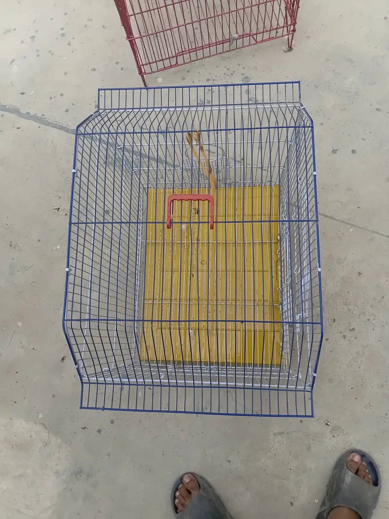 New cages — photo 6