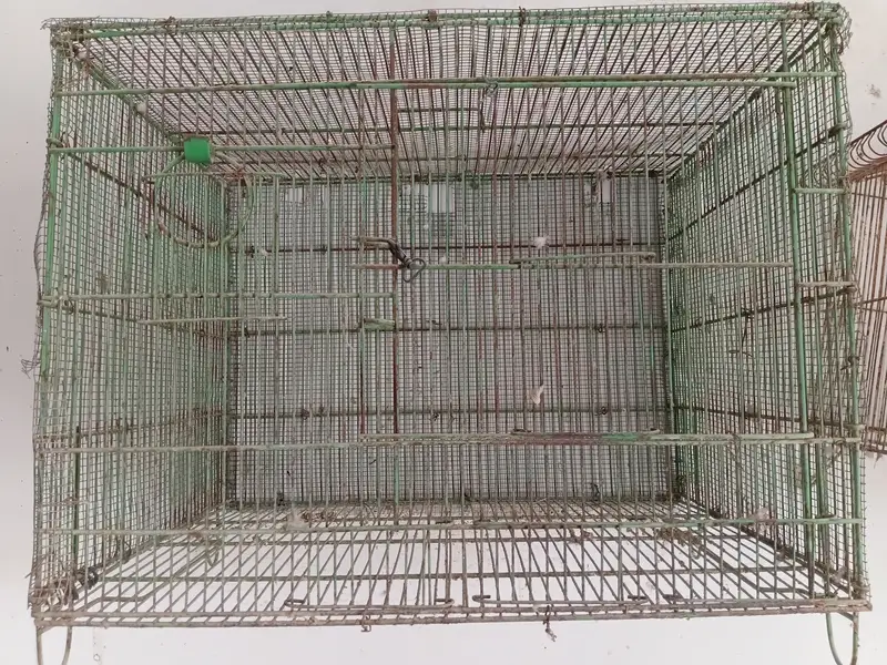 New cages — photo 8