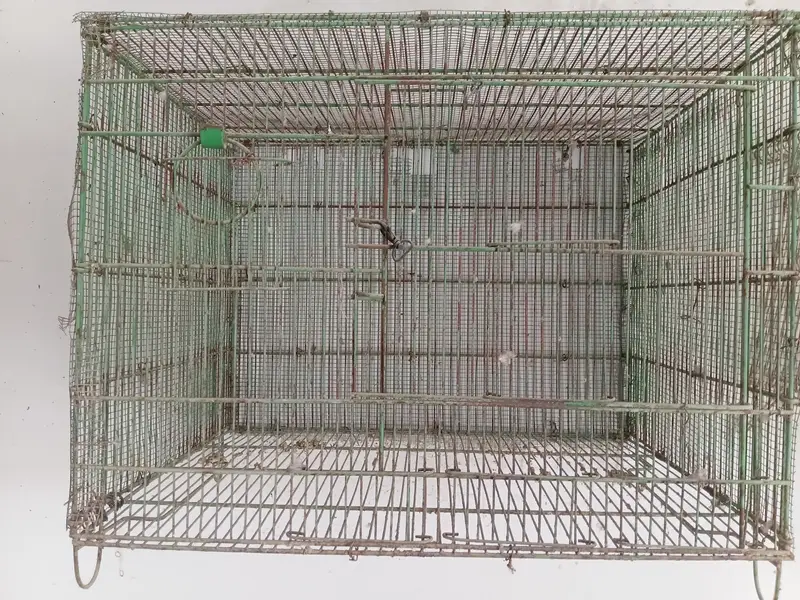 New cages — photo 9