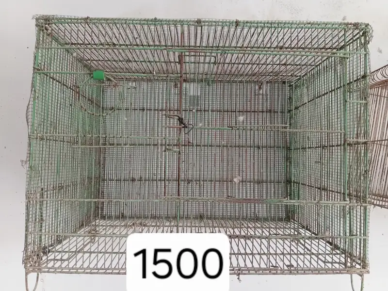 New cages — photo 10