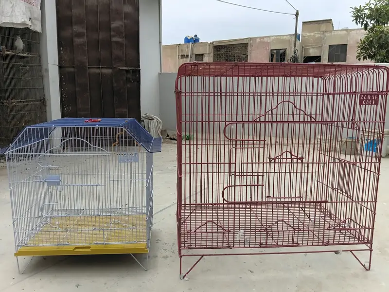 New cages — photo 11