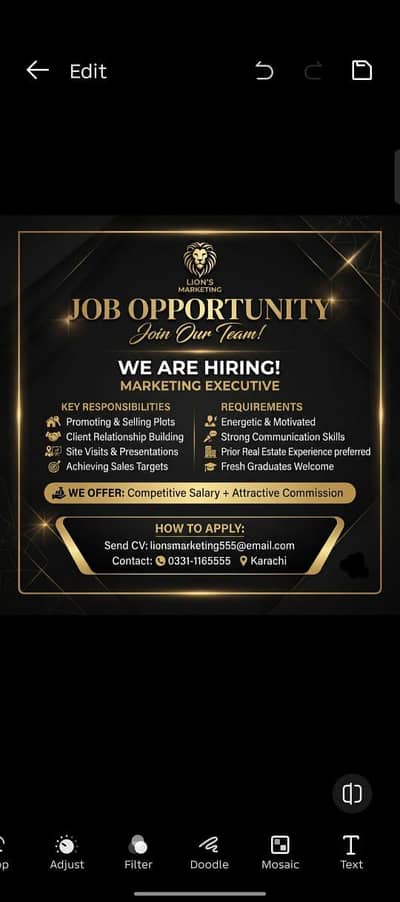 sales executive (male / female)