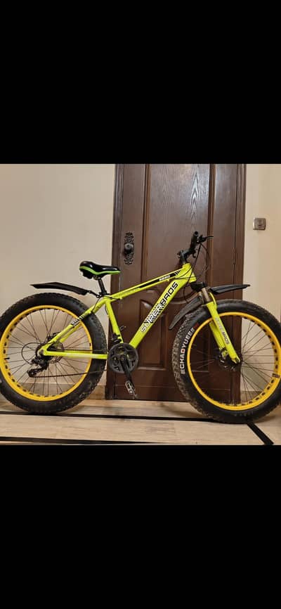 Fat tyre cycle