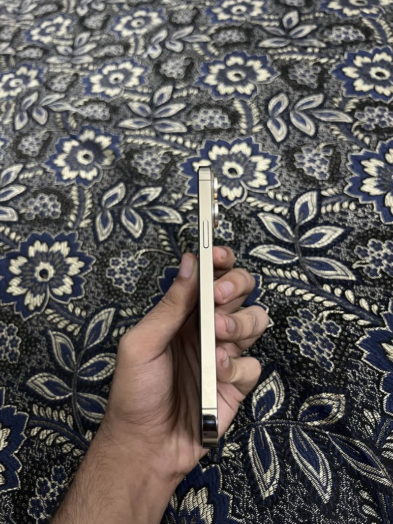 iPhone 13 Pro Max 1