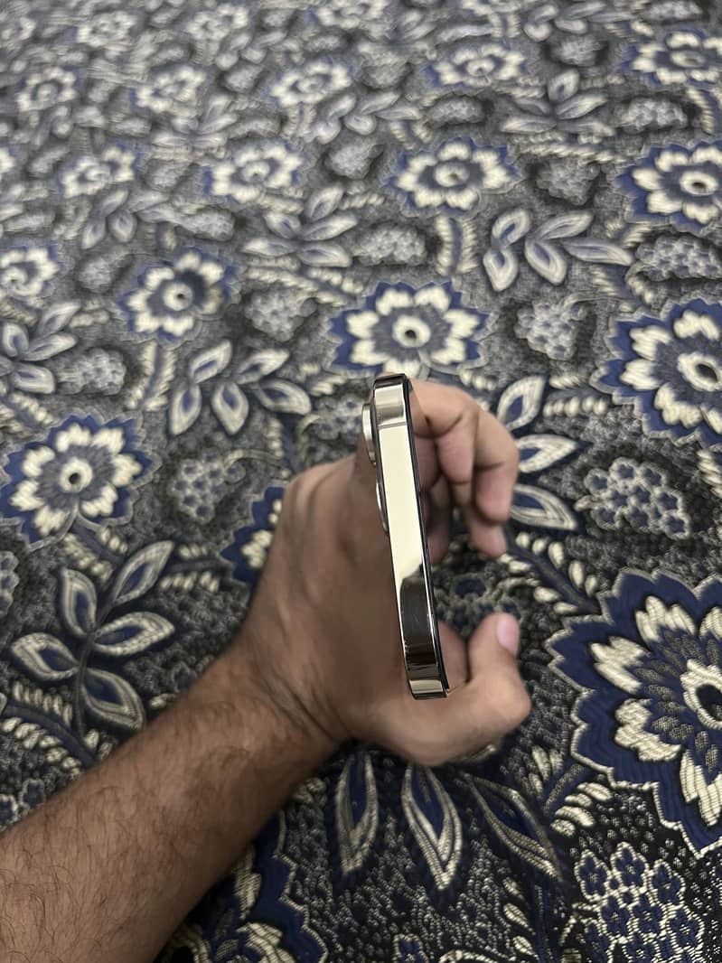 iPhone 13 Pro Max 2