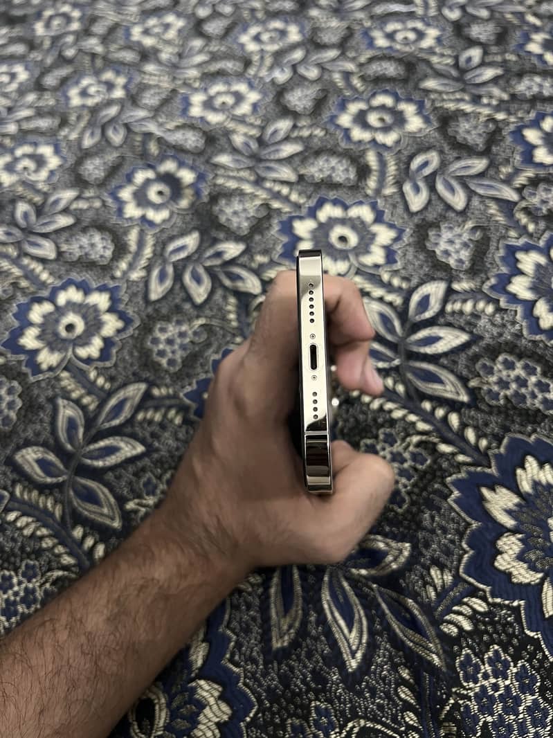 iPhone 13 Pro Max 3