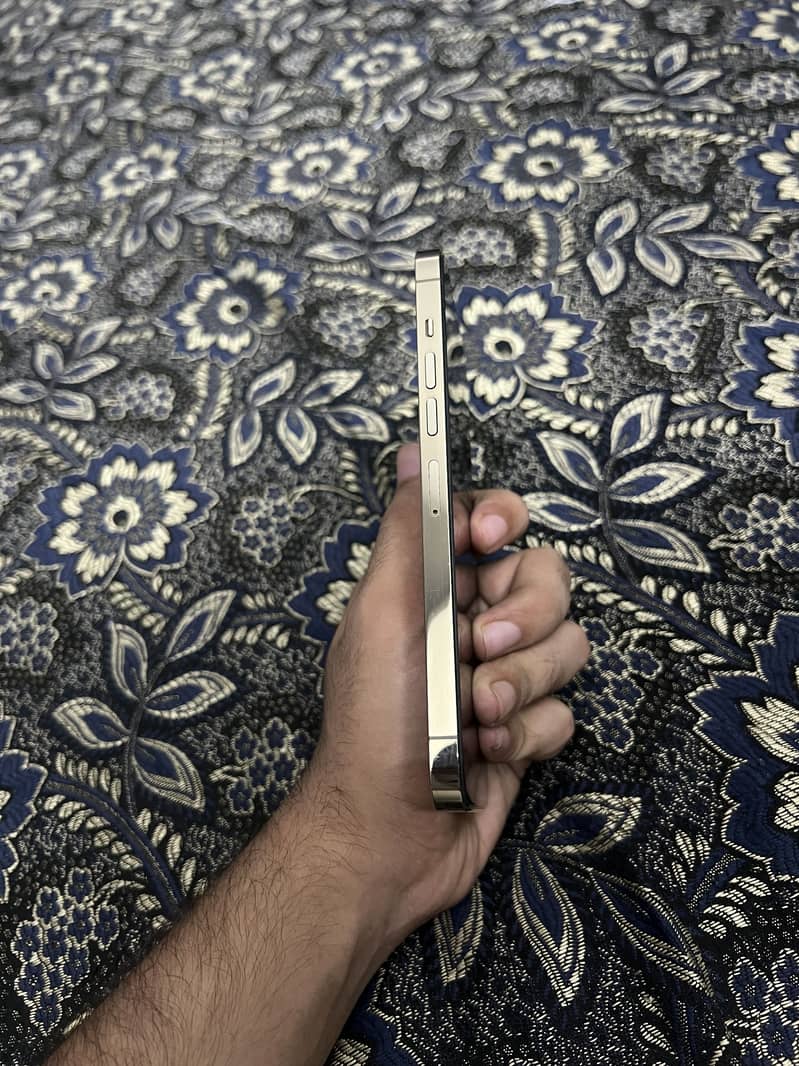 iPhone 13 Pro Max 4