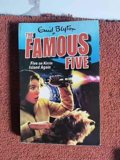 The Famous Five: Five on Kirrin Island Again