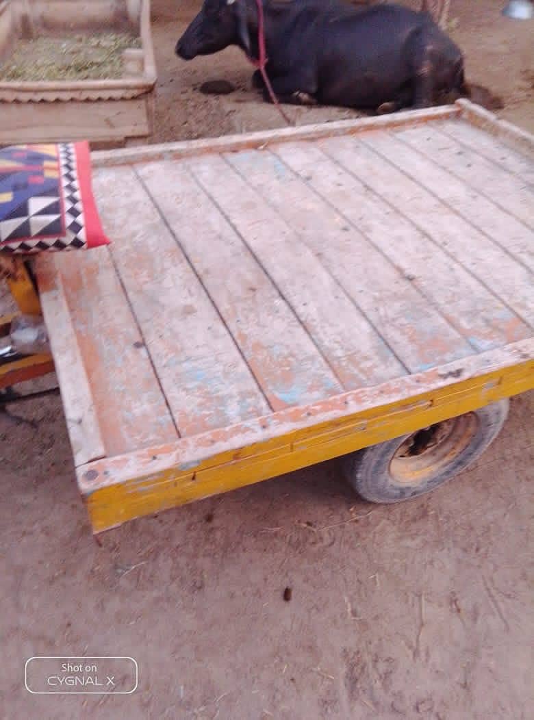 Rakhshaw 2