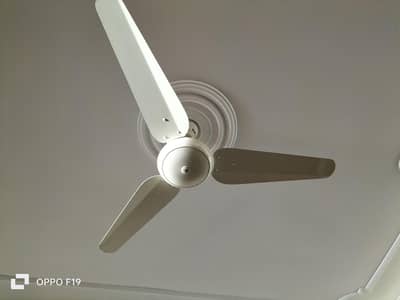 sk fan