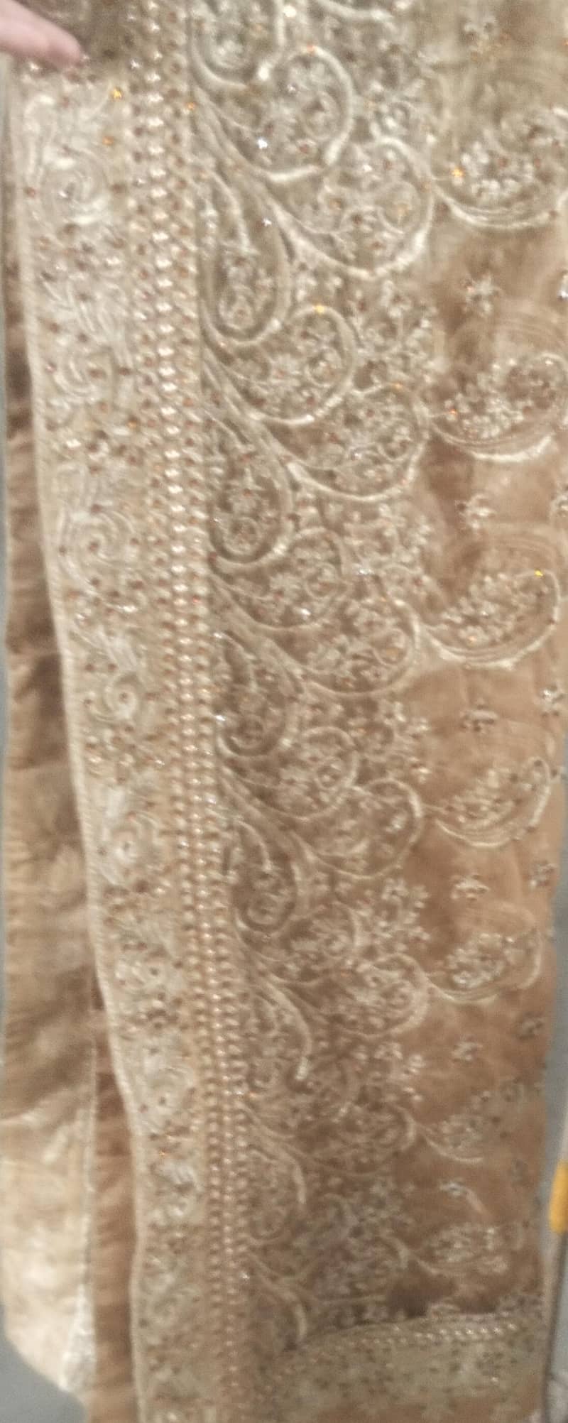 lehnga 2
