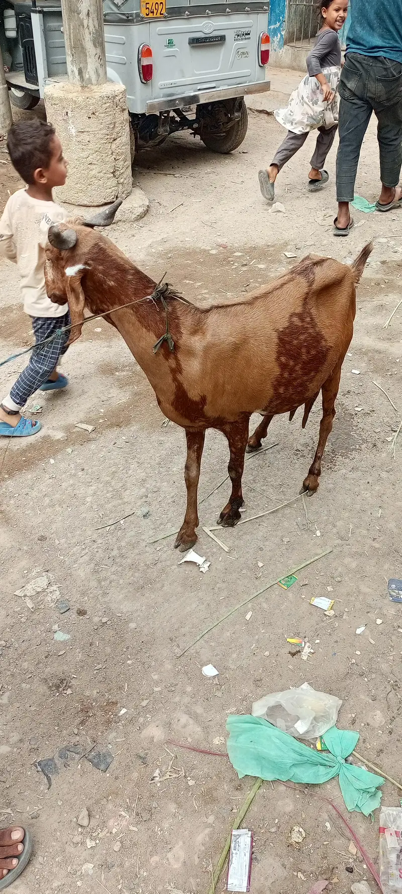 4.5 month ki lagi hoi ha — photo 2