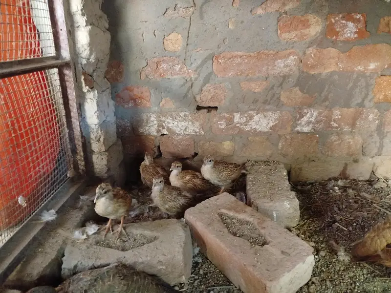 male and female — photo 3