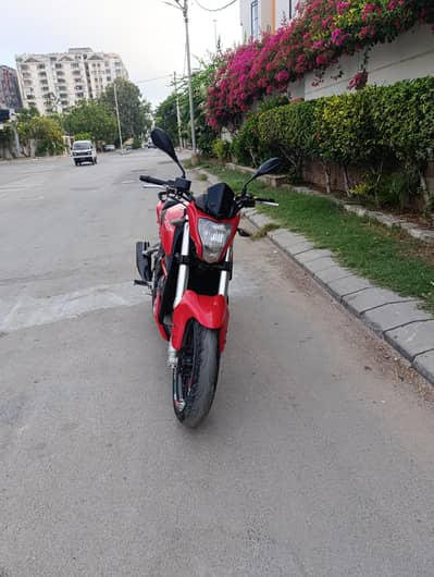 Benelli Tnt 25