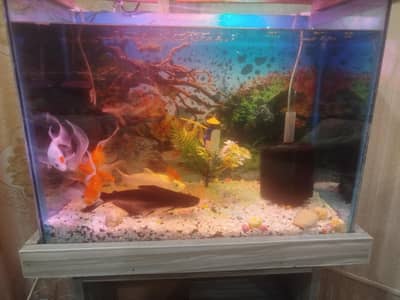 Aquarium new condition
