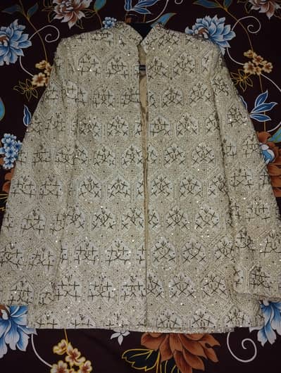 prince coat with shoes