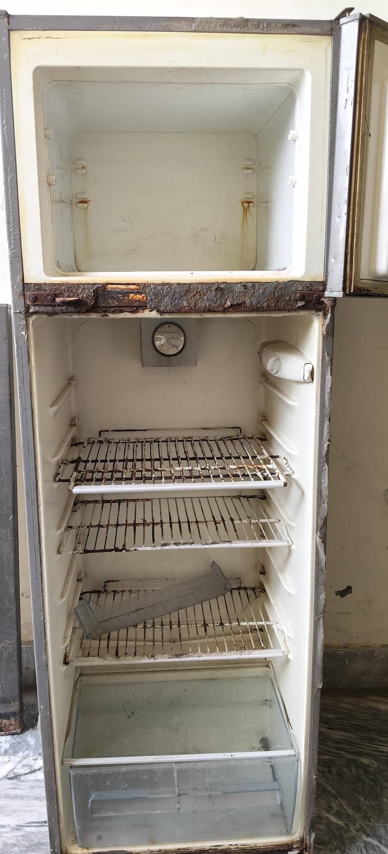 fridge 1