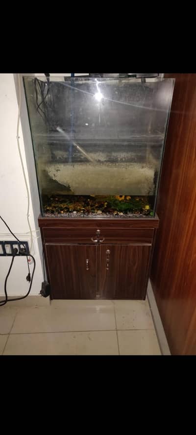 aquirium