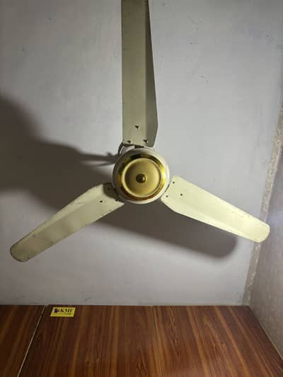 Copper Fan