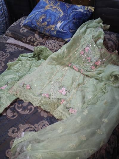 light pista colour embroidered dress