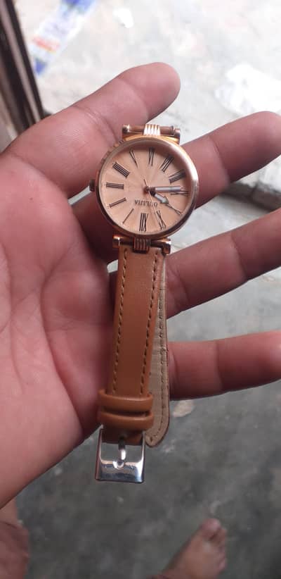 zbrdst watch shine
