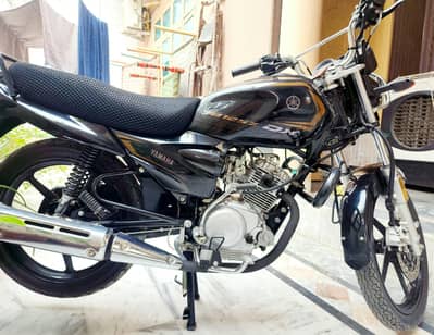 Yamaha ybz dx 24/25 model brand new condition urgent for sale