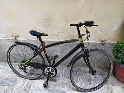Lahaina Bicycle for Sale import from china