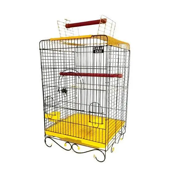 Raw Talking Parrot With Zarar Cage — photo 11