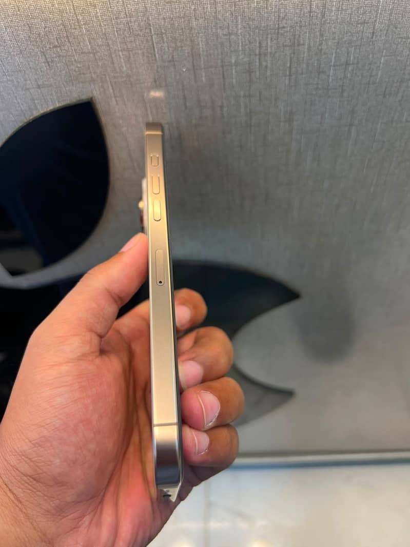 Apple iPhone 16 Pro Max 5