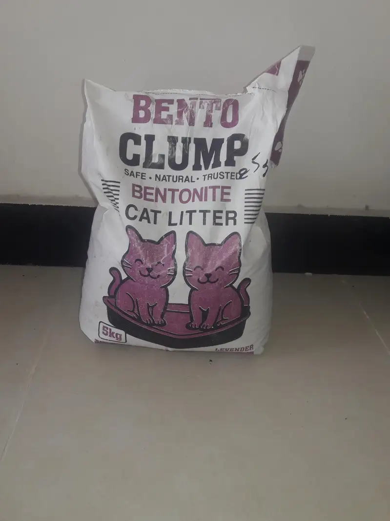 cat items — photo 2