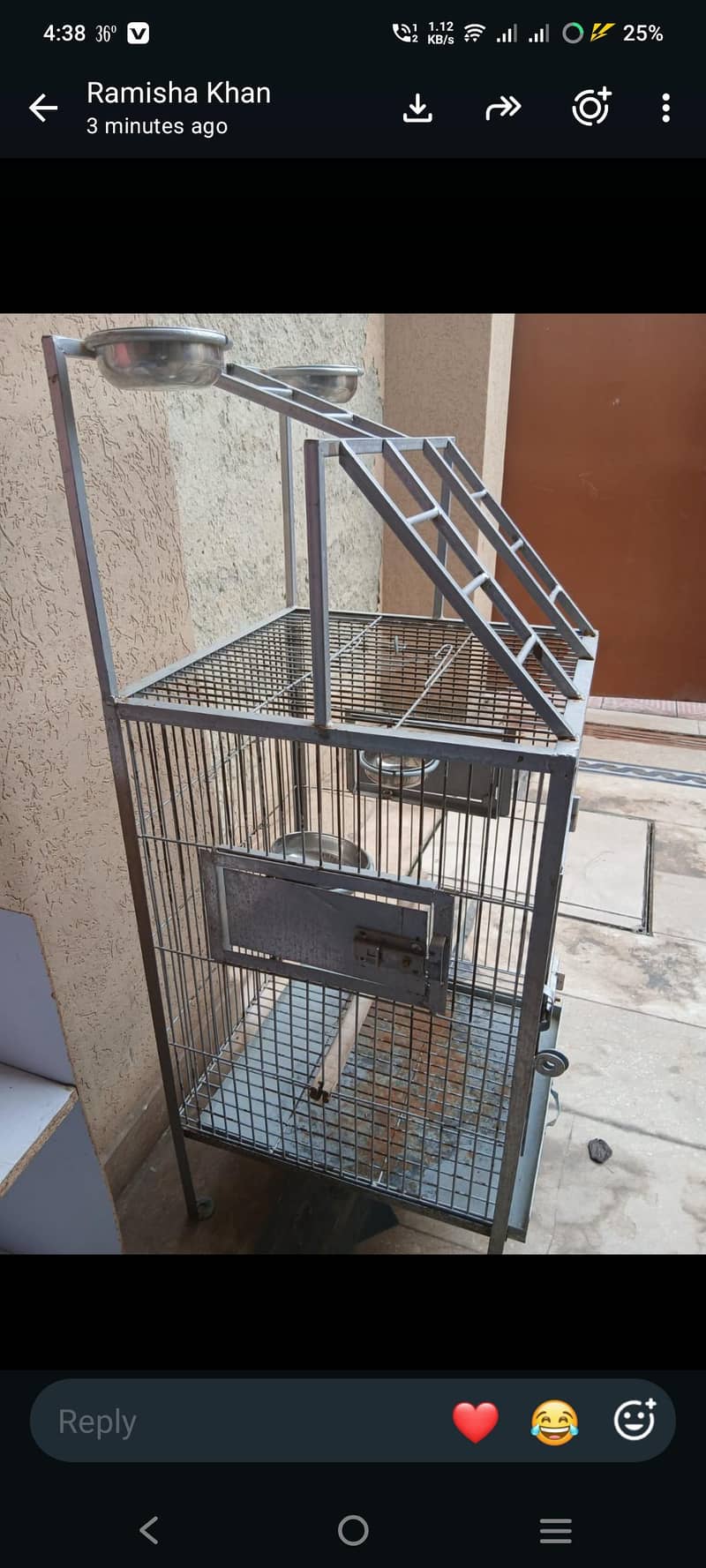 bird cage 1