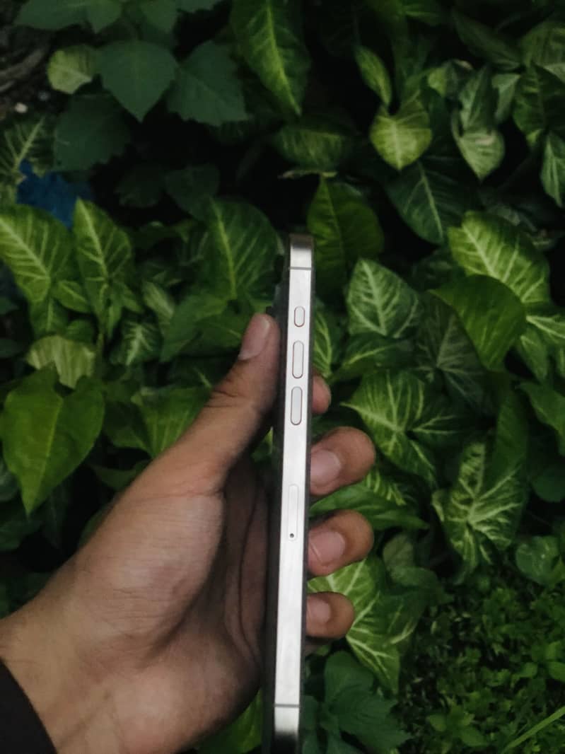 Apple iPhone 15 pro max Narural Titanium 1