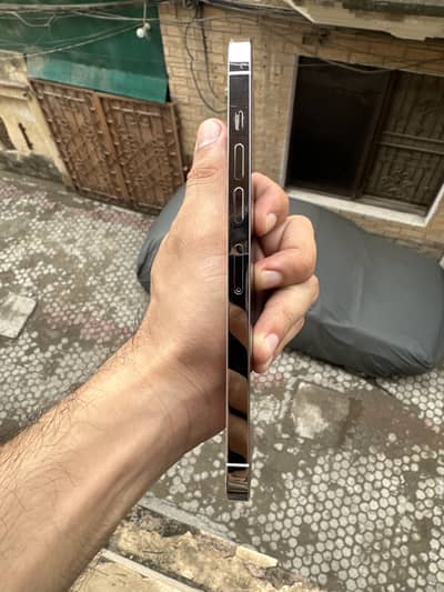 13 pro max