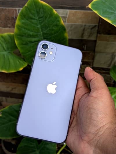 iPhone 11 128gb (Pta Approve)