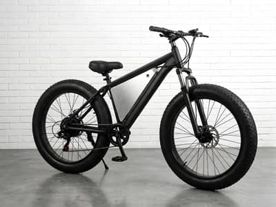 Electric Fat tyre Bicycle