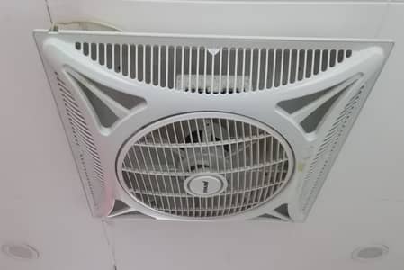 Ceiling Fans (Quantity: 6)