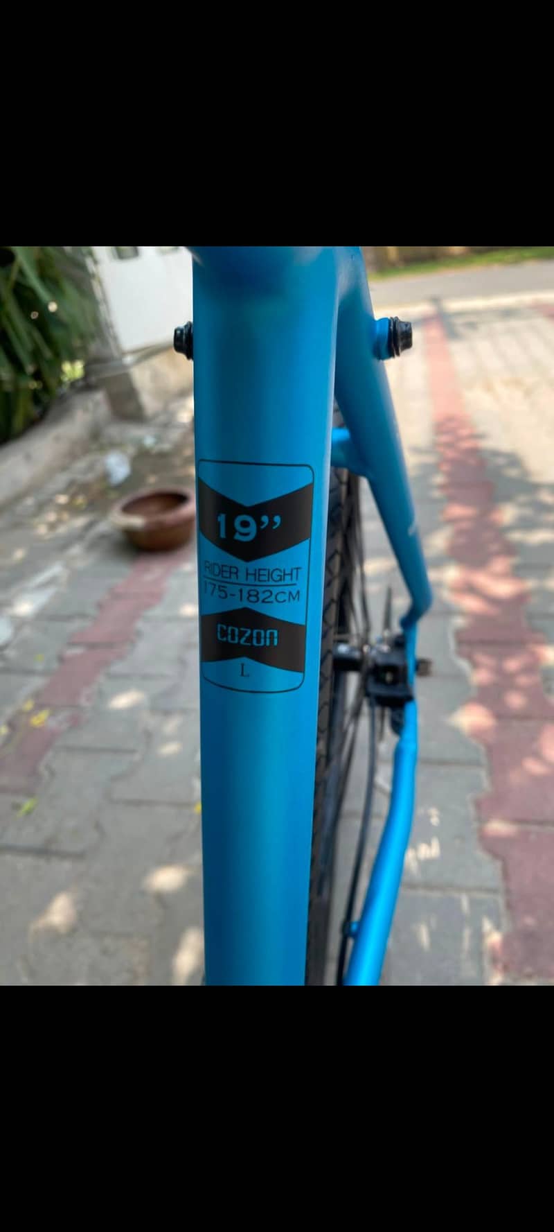 cozone hybrid cycle 1