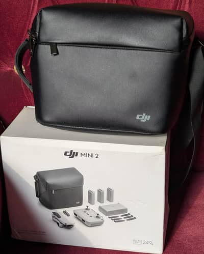 DJI MINI 2