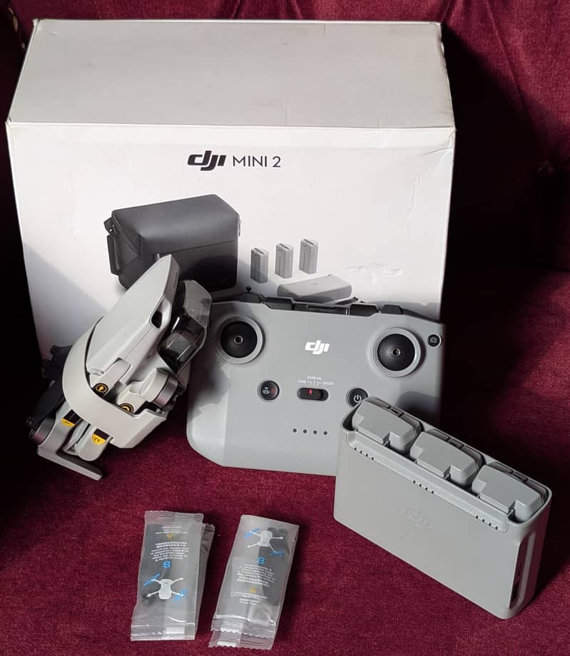DJI MINI 2 1