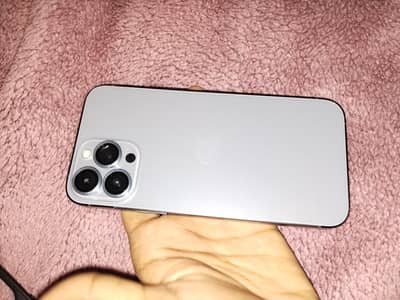 Apple iPhone 13 Pro Max