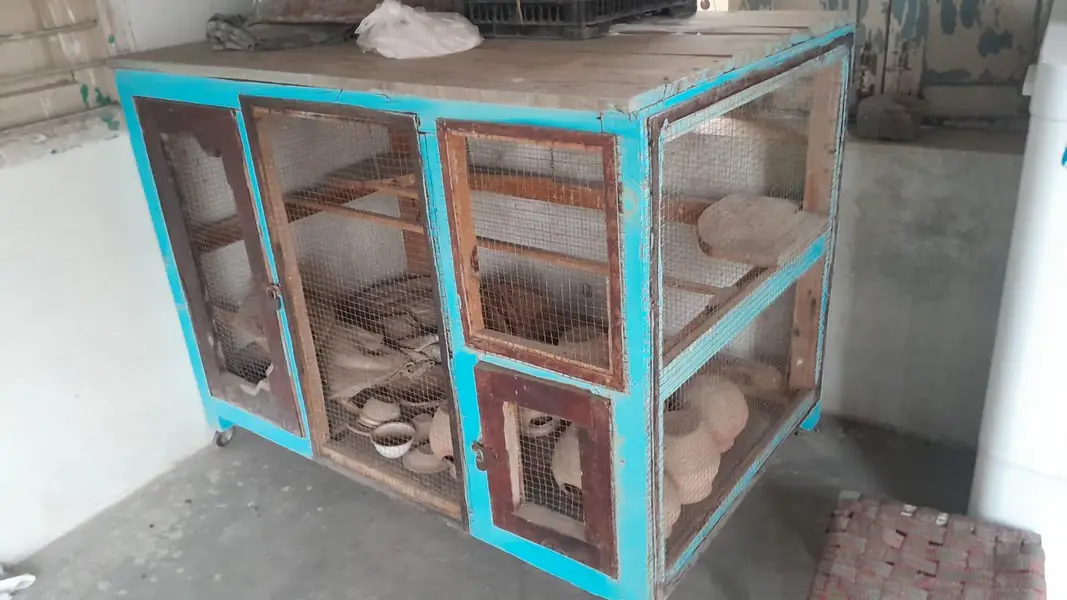 parrot Cage — photo 2