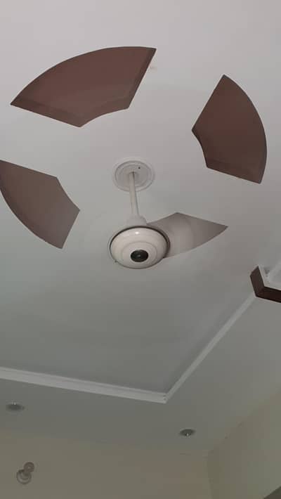 Royal Fan