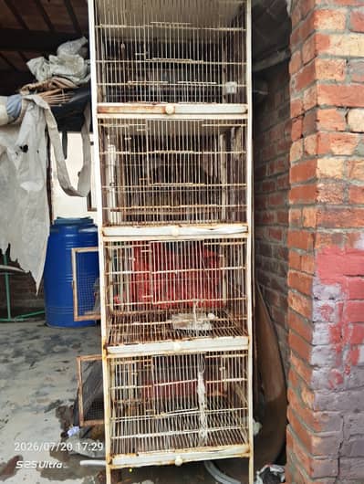 Iron Bird Breeding Cage