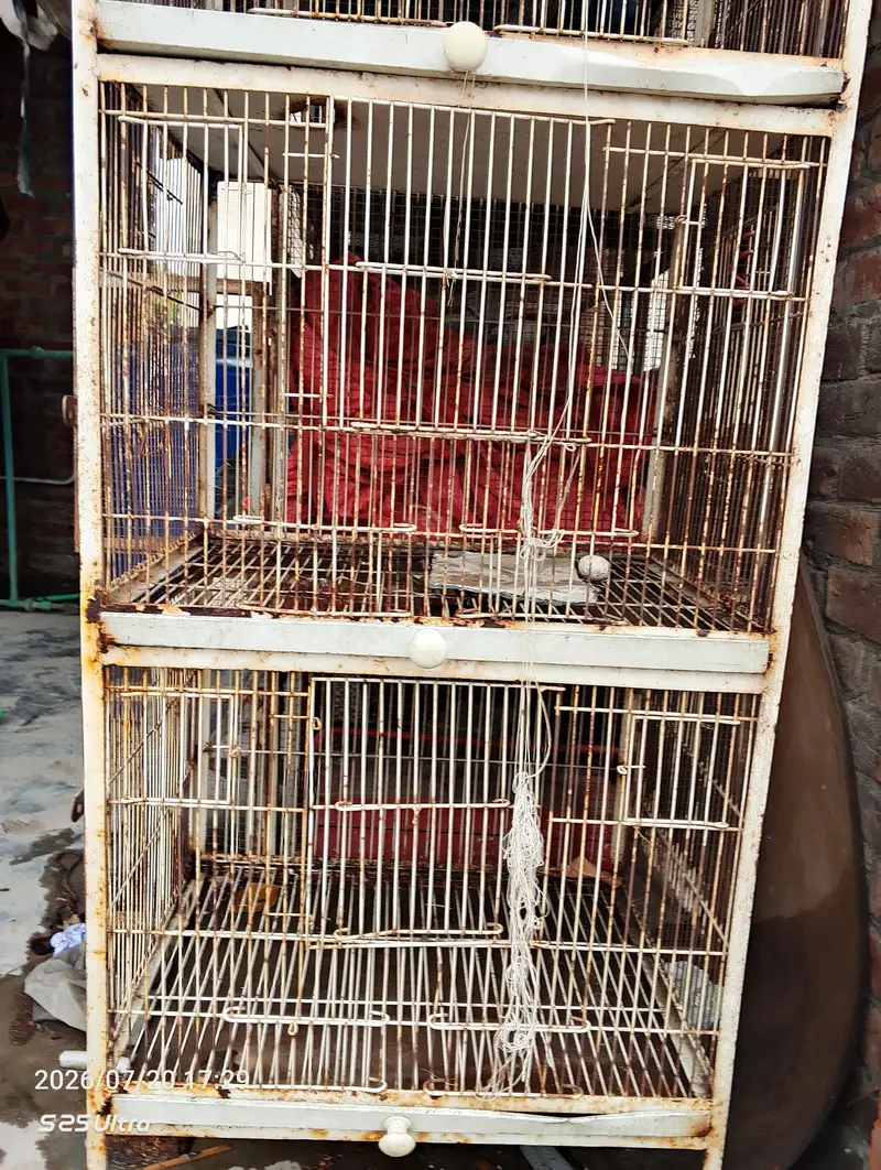 Iron Bird Breeding Cage — photo 2