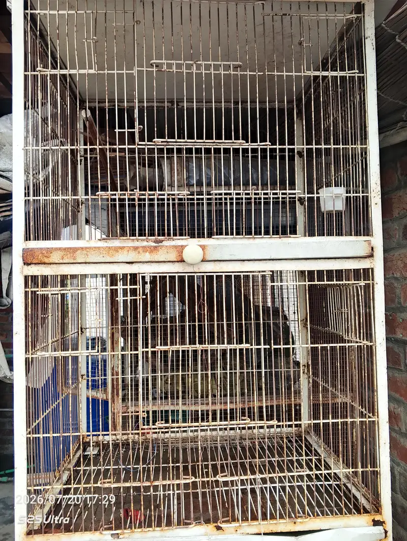 Iron Bird Breeding Cage — photo 3