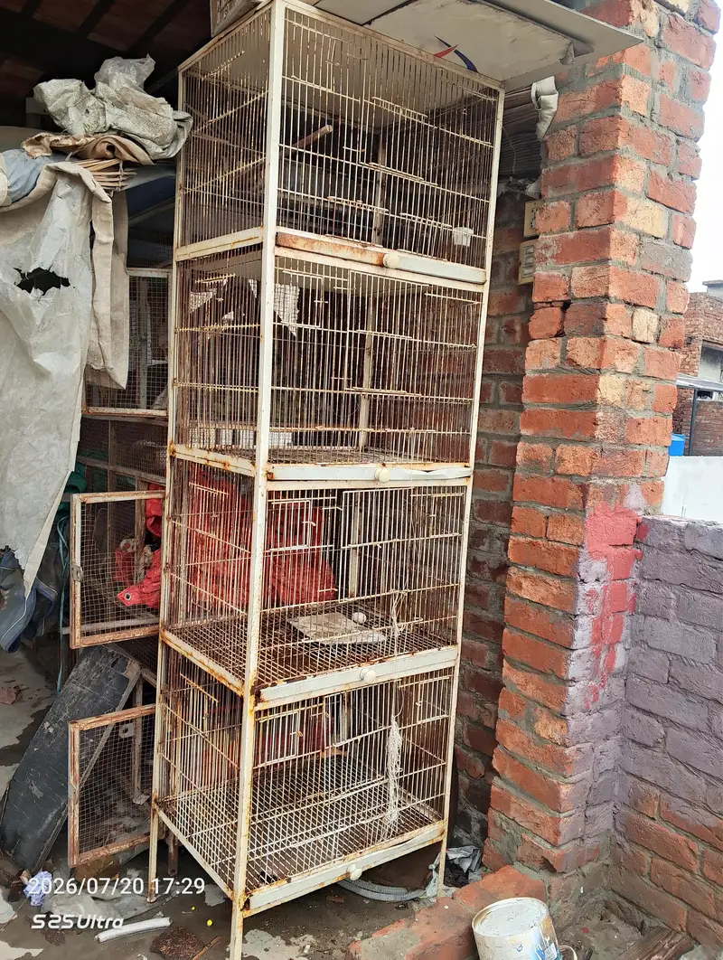Iron Bird Breeding Cage — photo 4