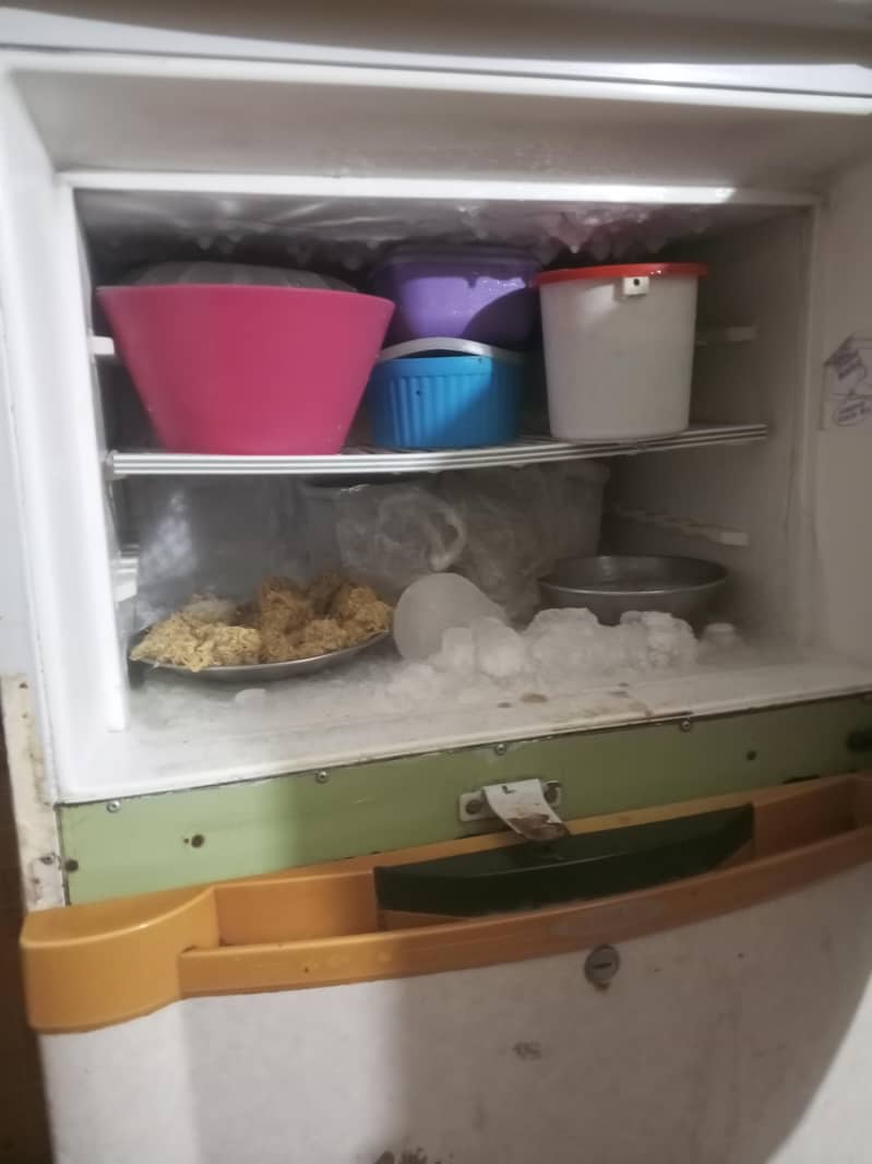 fridge 1