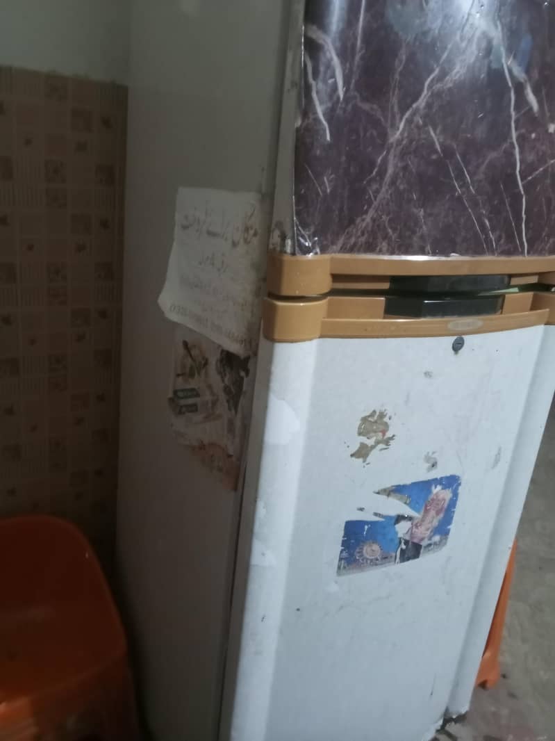 fridge 2