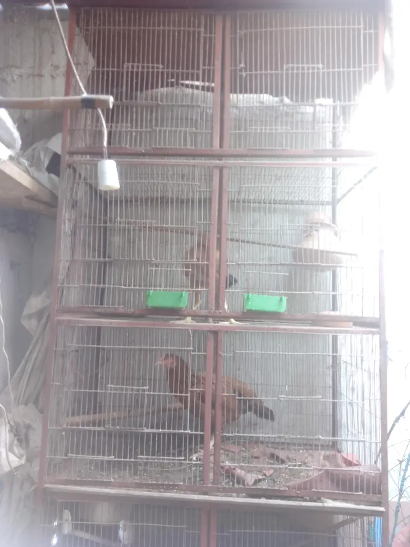 urgent sales need for cash — photo 3