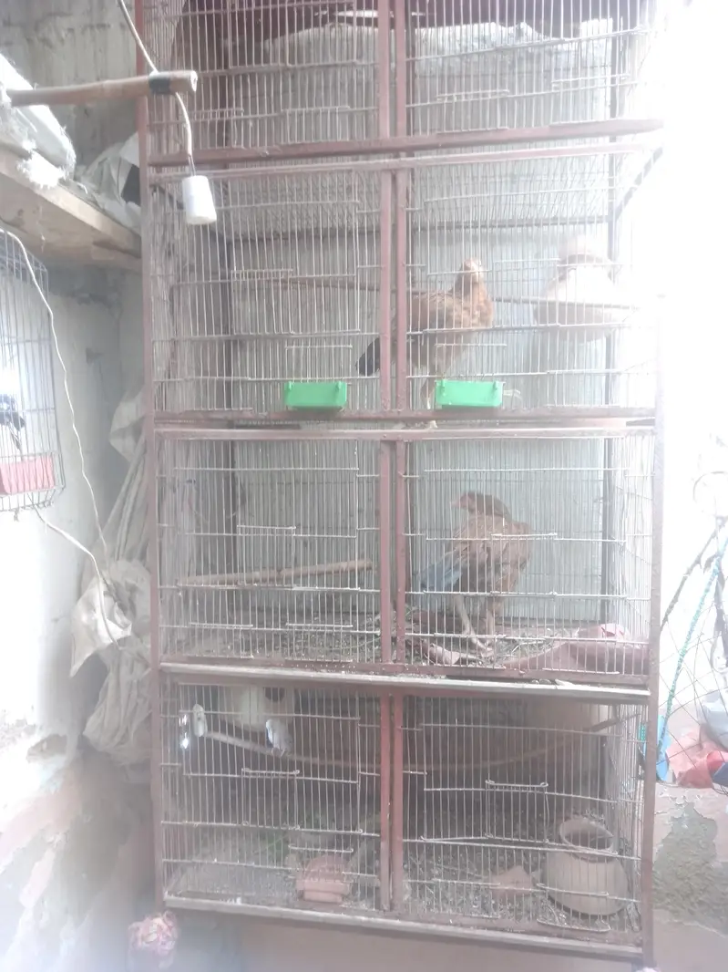 urgent sales need for cash — photo 4
